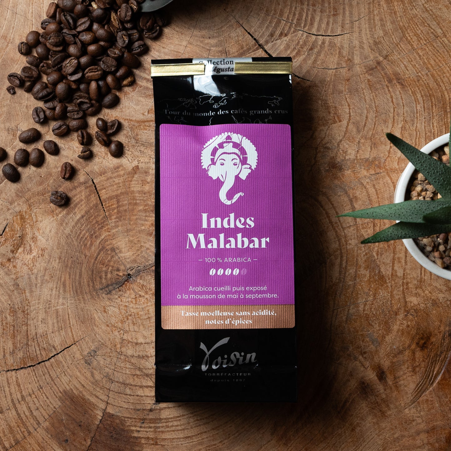 Café - Indes Malabar