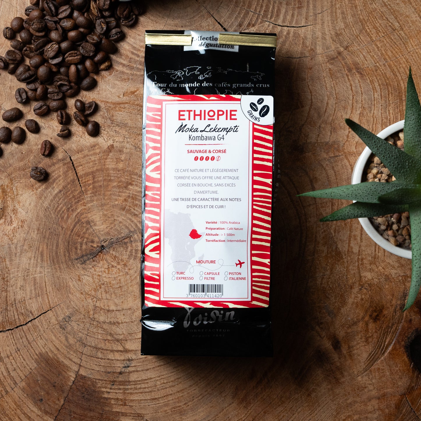 Café - Moka Lekempti