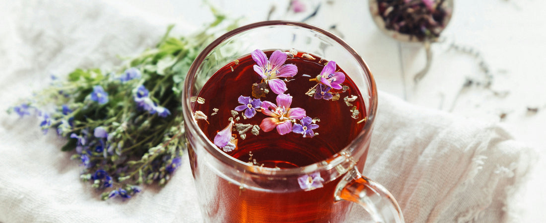 Infusion ou thé : quelles différences et comment choisir ?